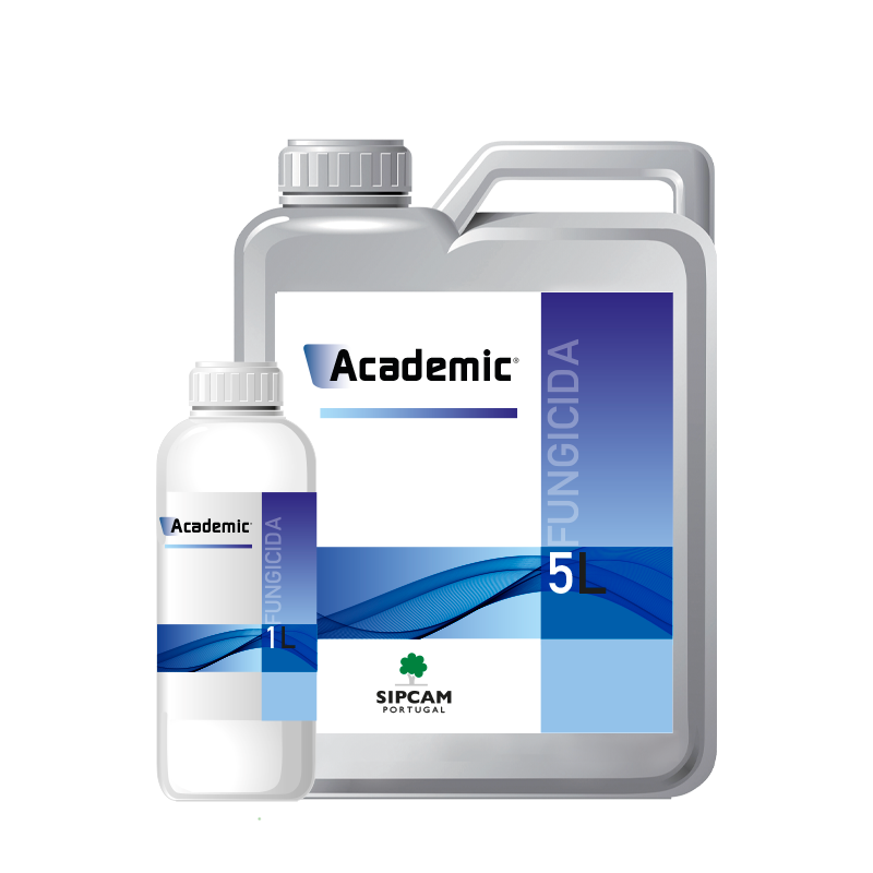 Academic